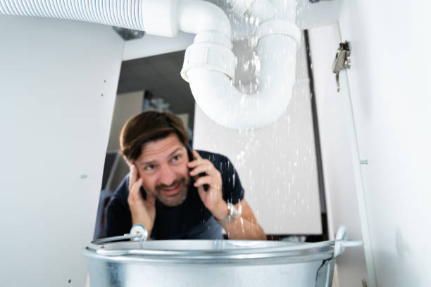 Best Plumbing Repair Near Me  in Chapel Hill, TN